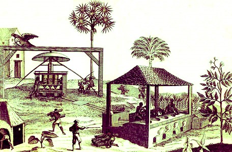 Sugar Production